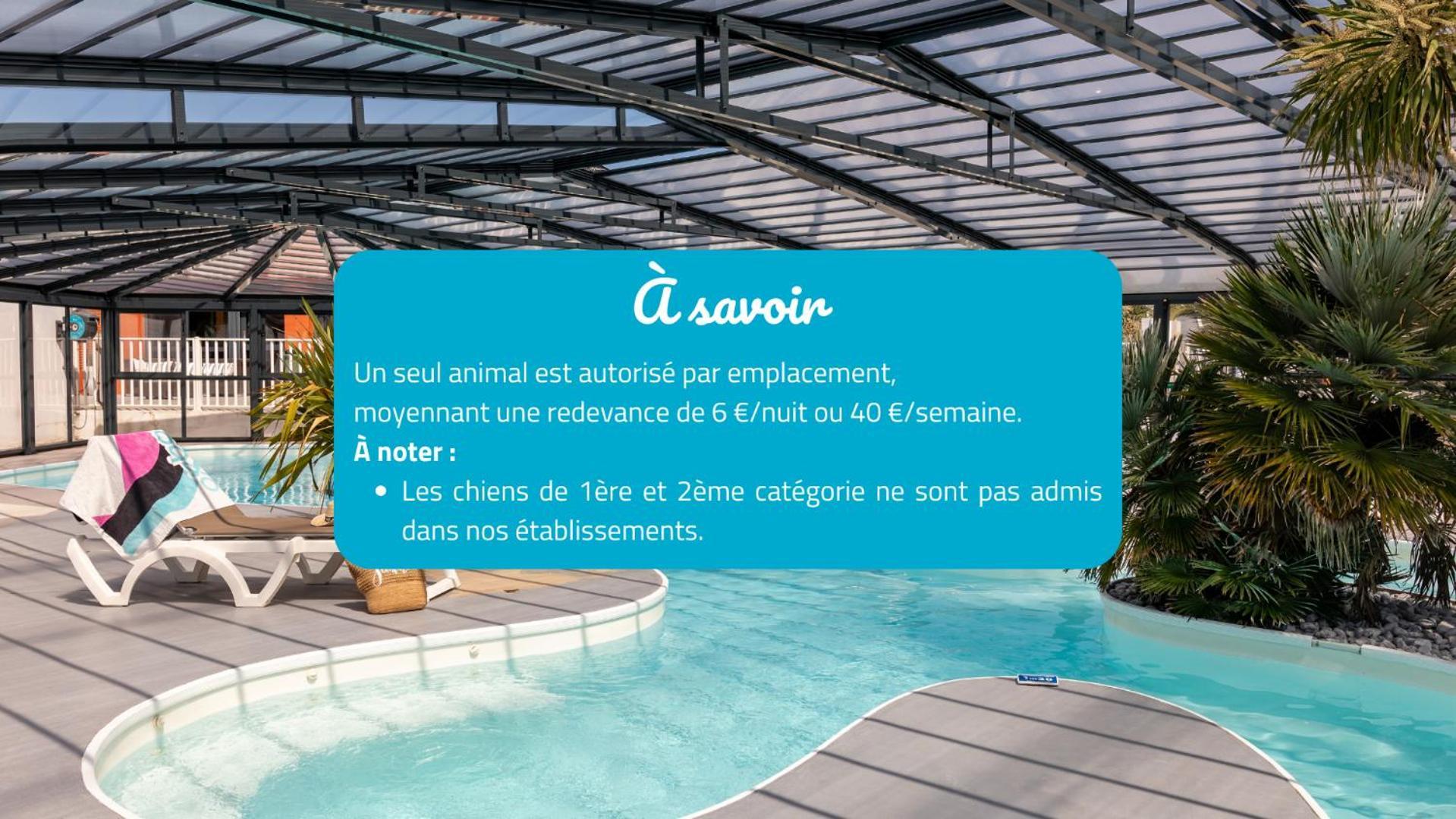 Camping Park Er Lann Saint-Pierre-Quiberon Esterno foto